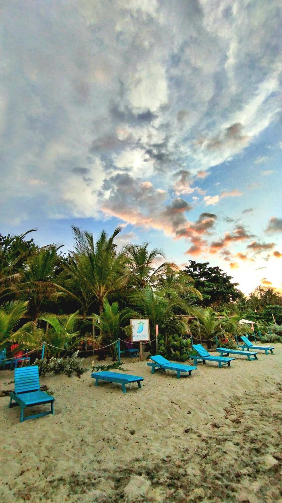 Blue Mango Beach Hotel Guachaca Exterior foto